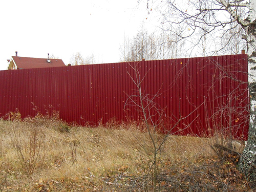 Пример металлического забора с применением профильного железа типа С21 темно-красного (вишневого) цвета по RAL 3005 для ограждения дачного участка. Высота профиля С-21 на заборе - 2,5 метра.